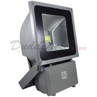 ST3010 LED Floodlight