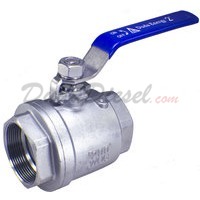 2" NPT 2-Piece 304 Stainless Steel Ball Valve WOG200